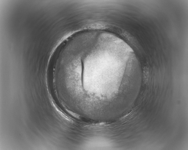 X0000053120726200508081251