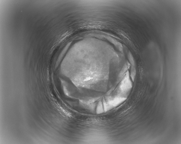 X0000053120729200508081251