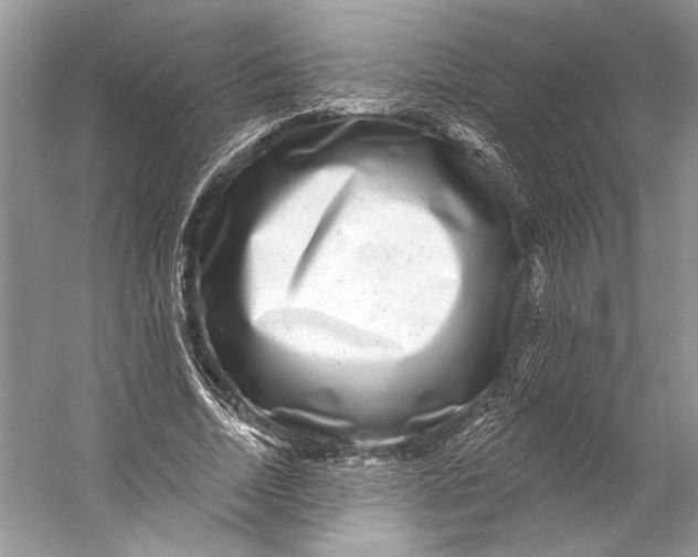 X0000053120730200508081251