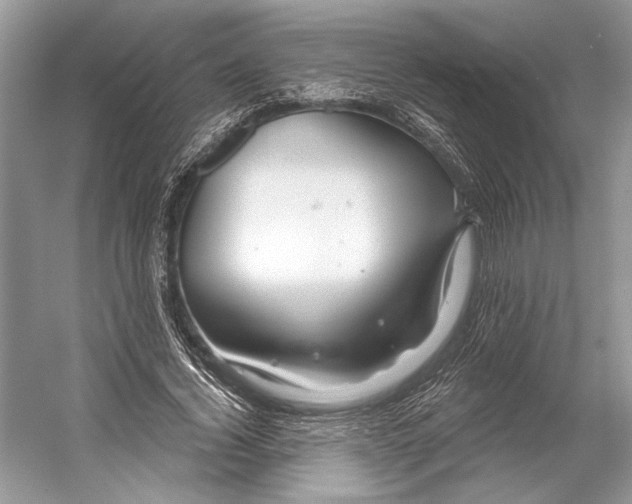 X0000053120732200508081251