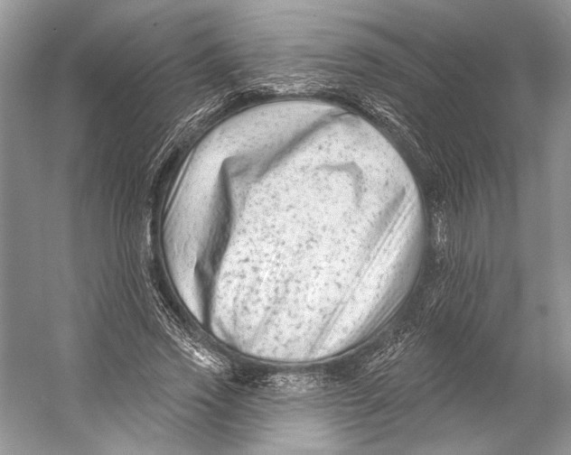 X0000053120733200508081251