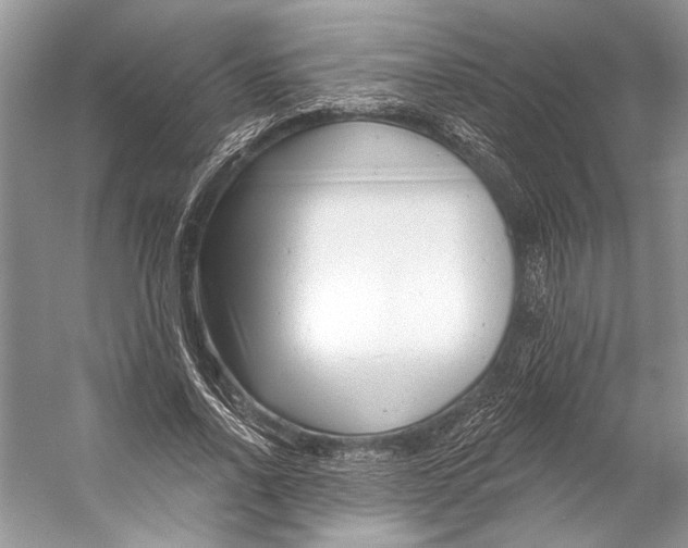 X0000053120734200508081251