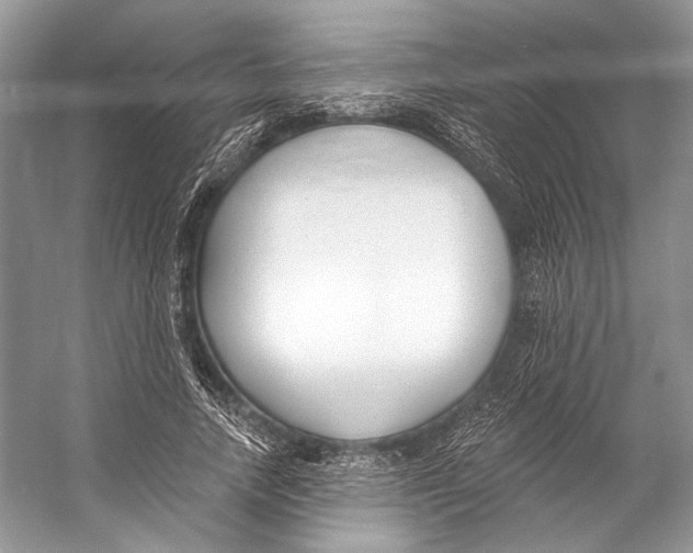 X0000053120738200508081251