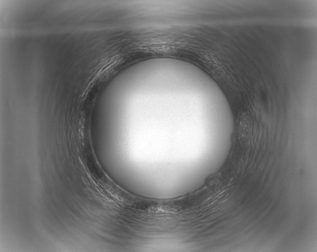 X0000053120739200508081251