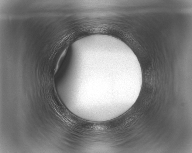 X0000053120741200508081251