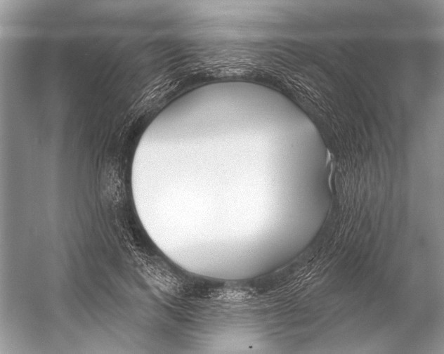 X0000053120743200508081251