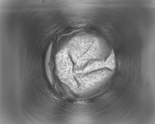 X0000053120745200508081251