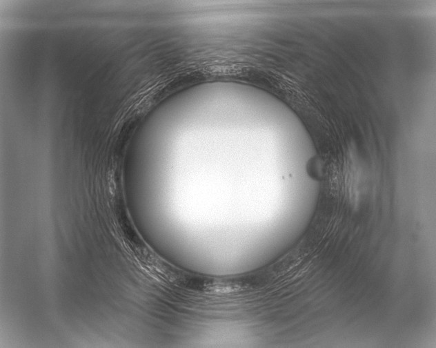 X0000053120746200508081251