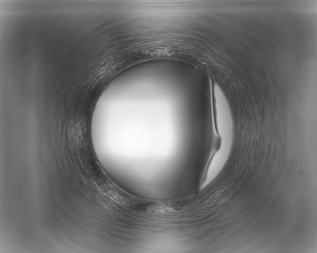 X0000053120747200508081251