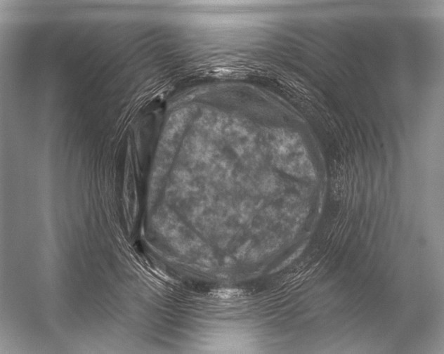 X0000053120748200508081251