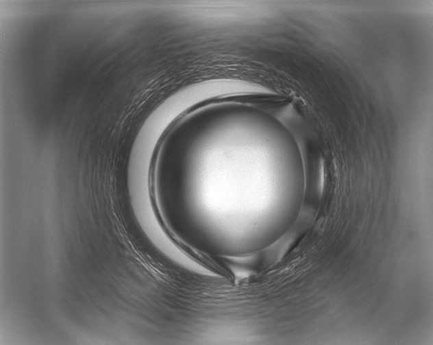 X0000053120750200508081251