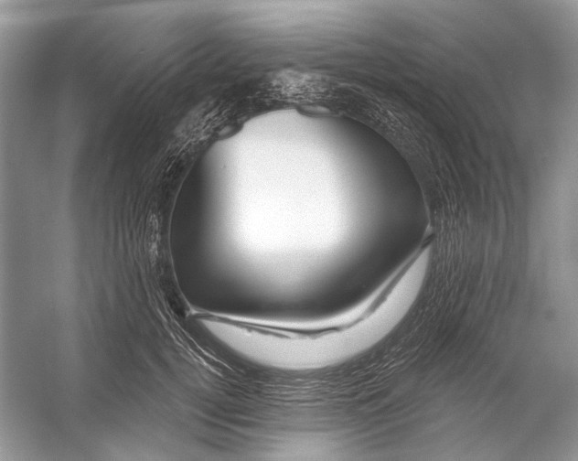 X0000053120752200508081251