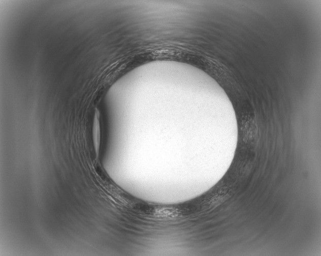 X0000053120753200508081251