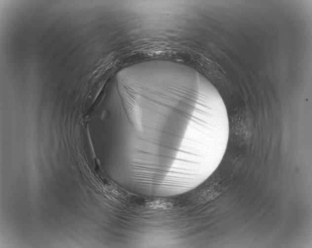 X0000053120754200508081251