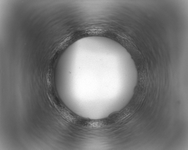 X0000053120755200508081251