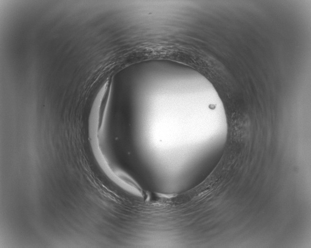 X0000053120756200508081251