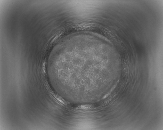 X0000053120758200508081251