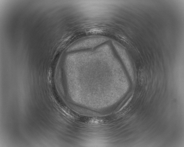 X0000053120760200508081251