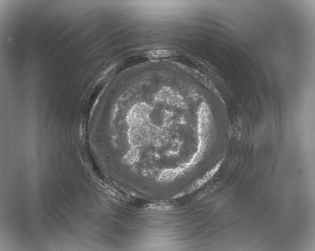 X0000053120763200508081251