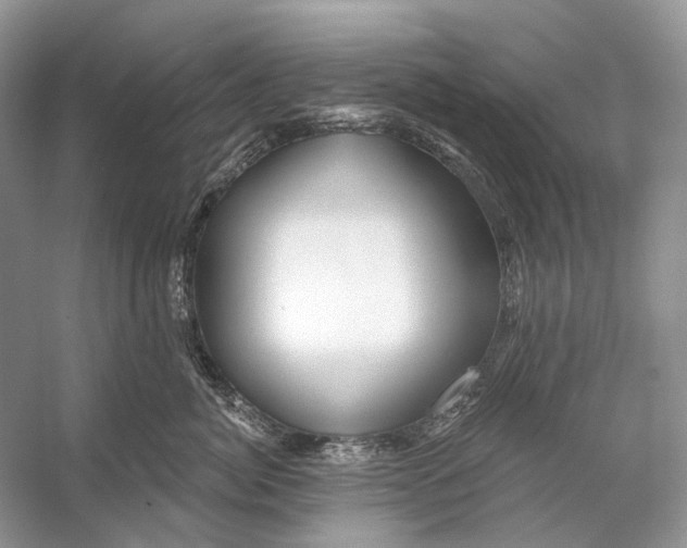 X0000053120764200508081251