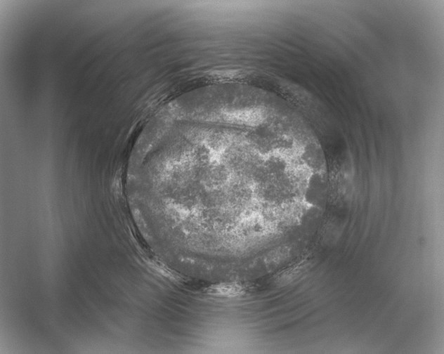 X0000053120765200508081251