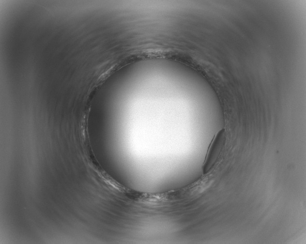 X0000053120768200508081251