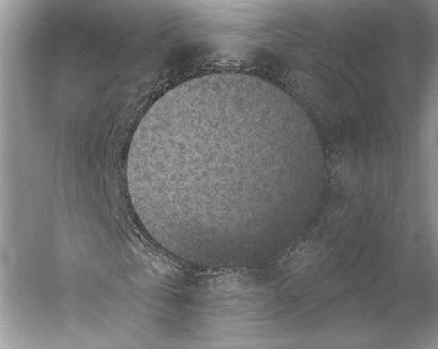 X0000053120769200508081251