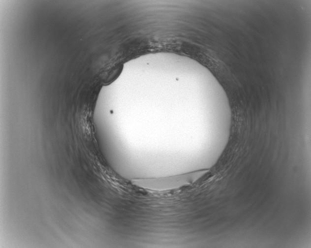 X0000053120770200508081251