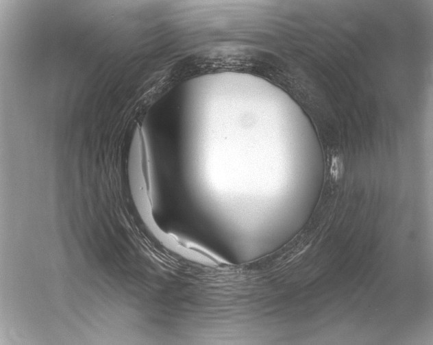 X0000053120771200508081251