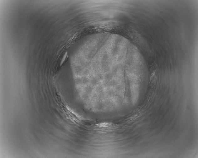 X0000053120772200508081251