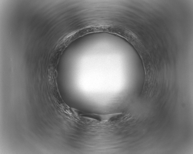 X0000053120773200508081251