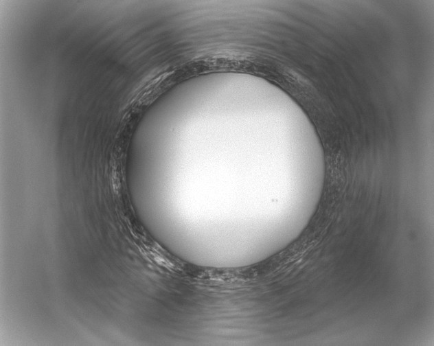 X0000053120774200508081251