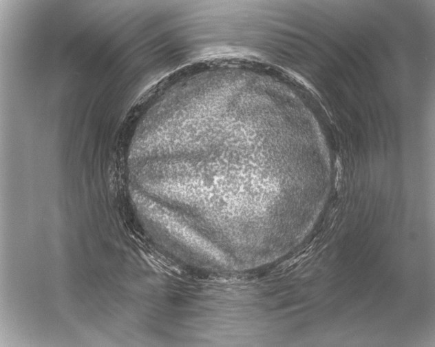 X0000053120775200508081251