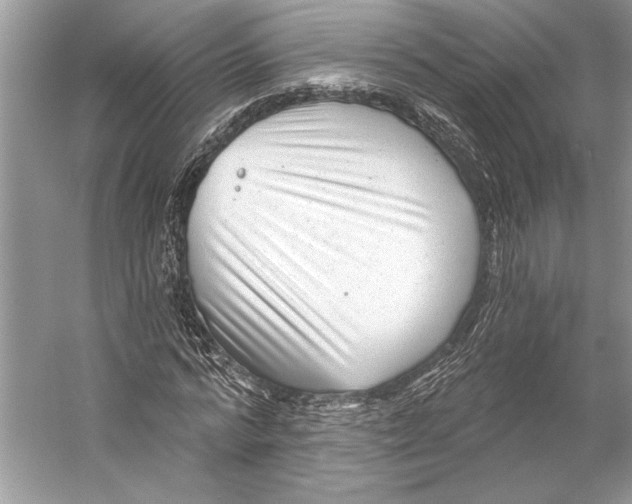 X0000053120776200508081251