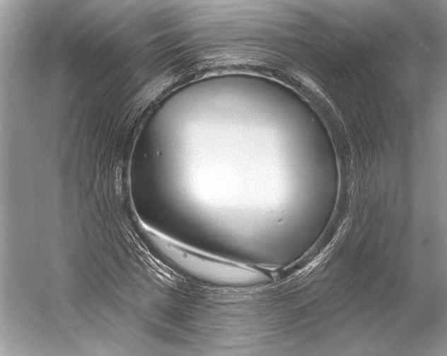 X0000053120777200508081250