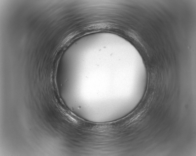 X0000053120778200508081250