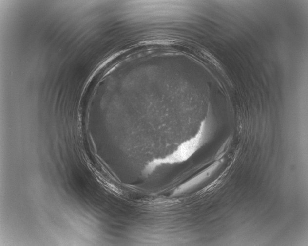 X0000053120779200508081250