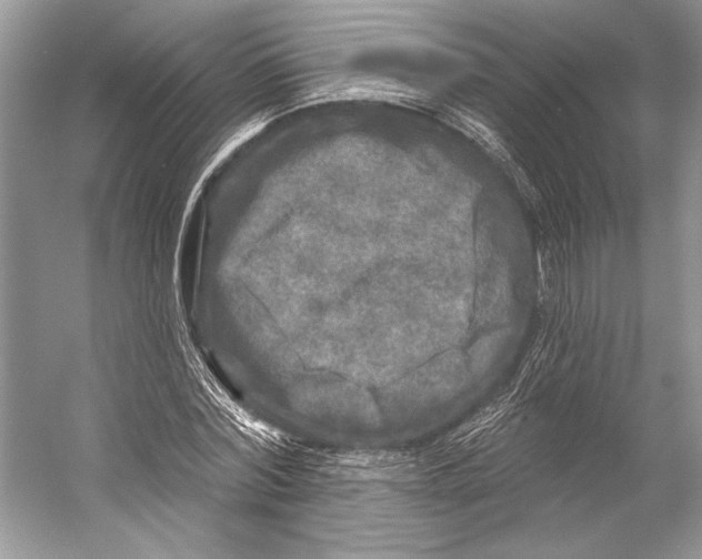 X0000053120780200508081250