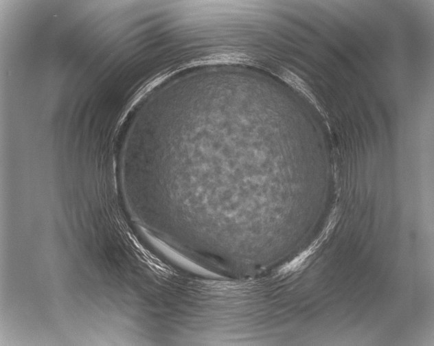 X0000053120781200508081250