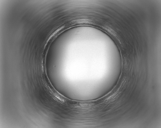 X0000053120782200508081250