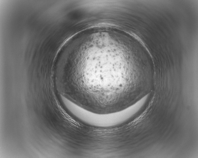 X0000053120783200508081250