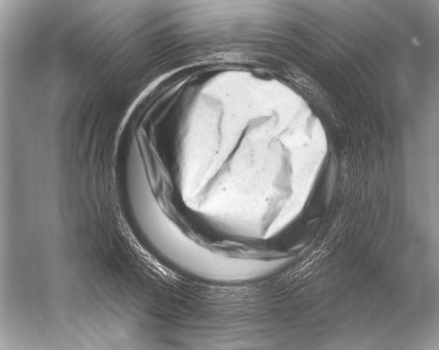 X0000053120784200508081250