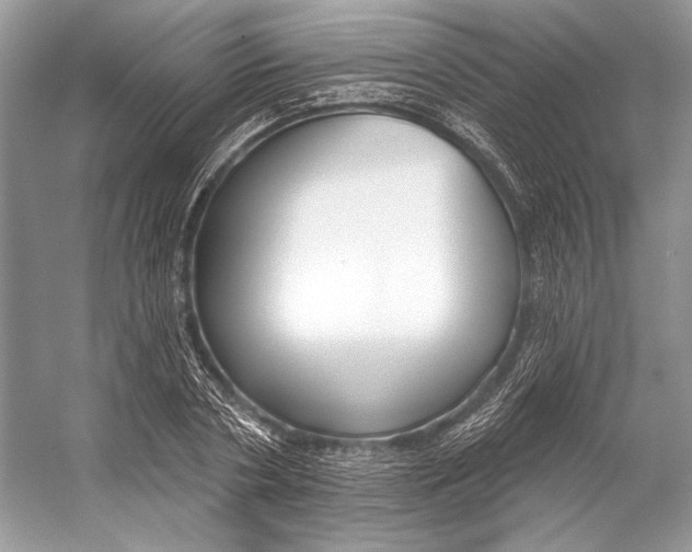 X0000053120786200508081250