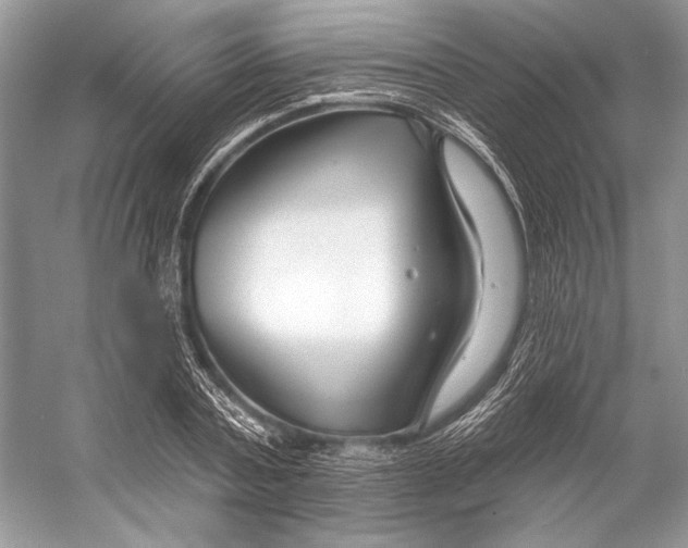 X0000053120787200508081250