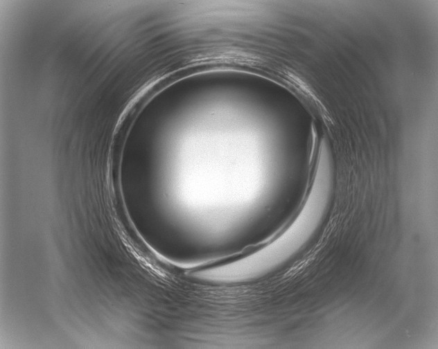 X0000053120788200508081250