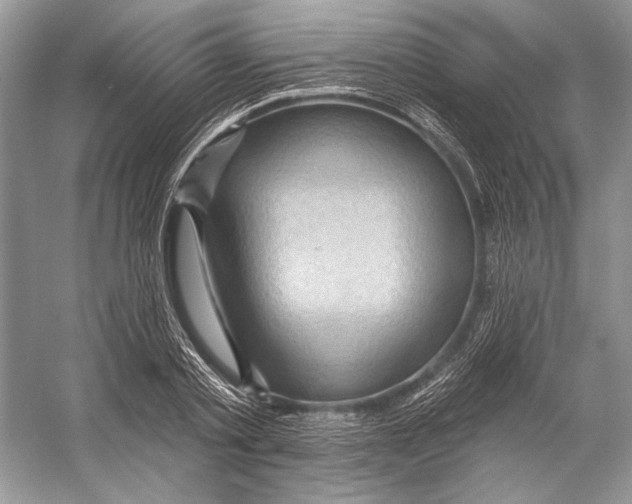 X0000053120789200508081250