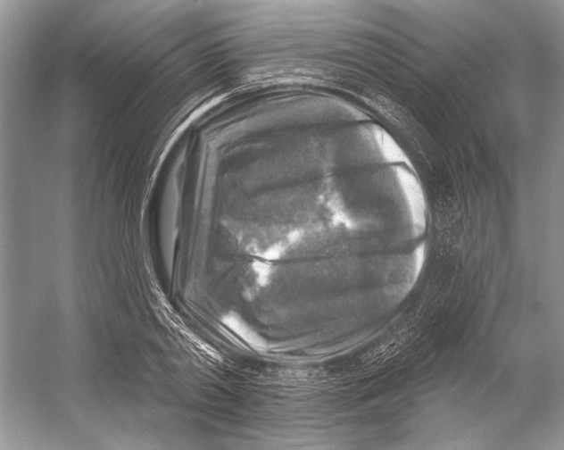 X0000053120790200508081250