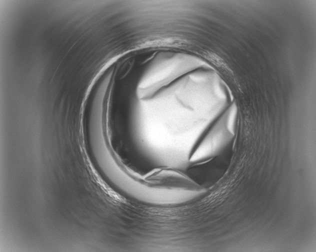 X0000053120792200508081250