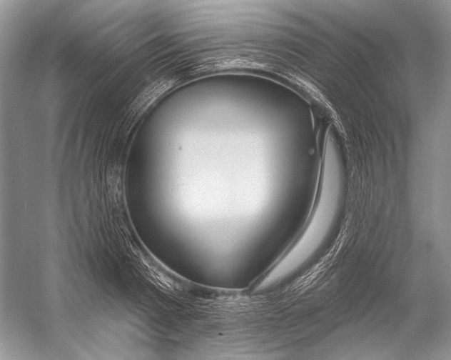 X0000053120793200508081250