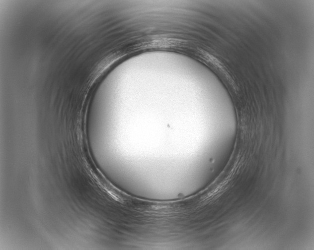 X0000053120794200508081250